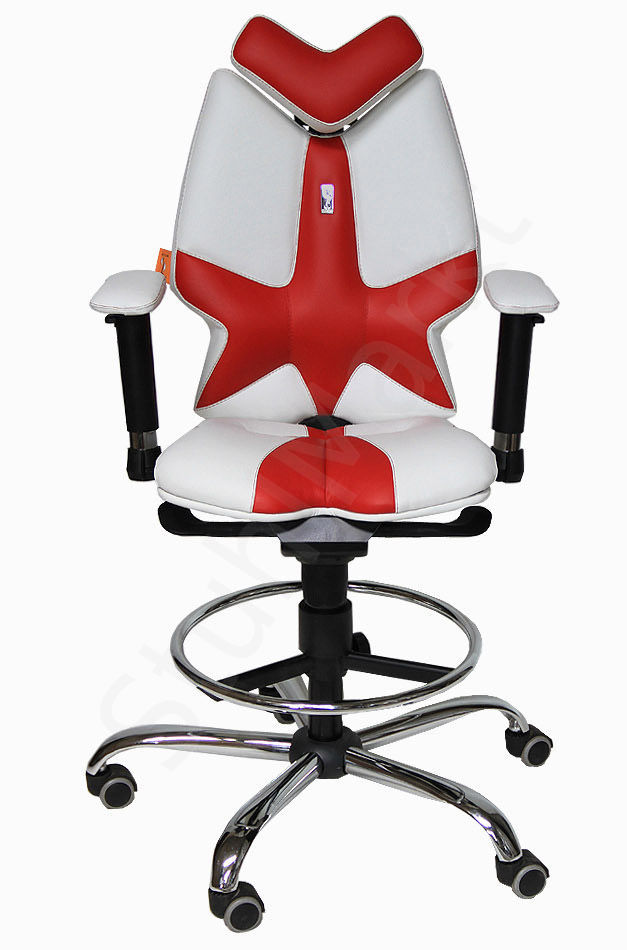  Эргономичное офисное кресло Fly 4255