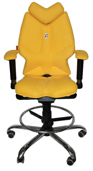  Эргономичное офисное кресло Fly 4361